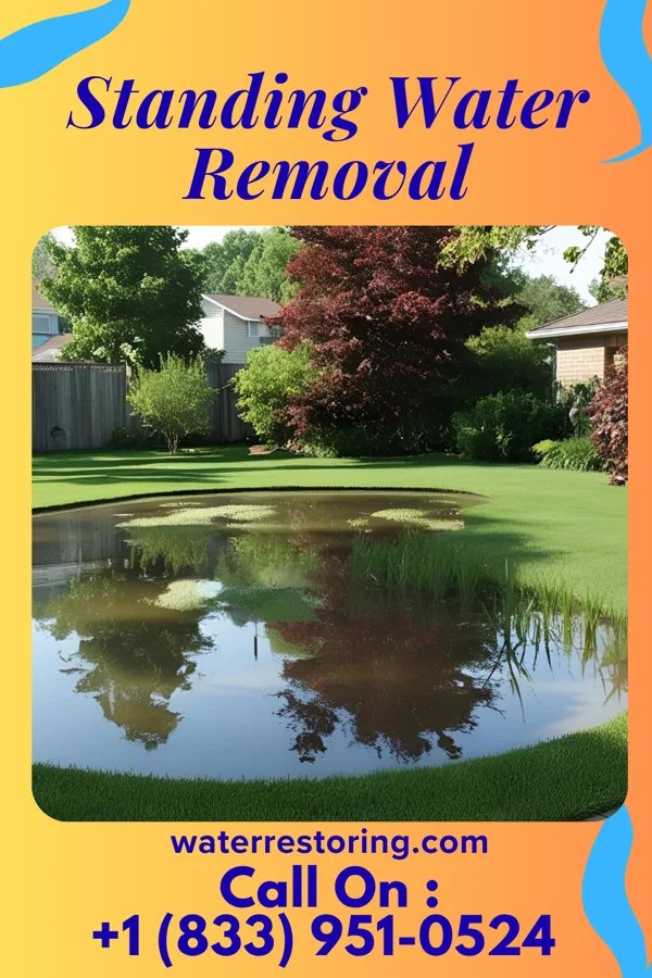 Standing Water Removal in Diamond, MO